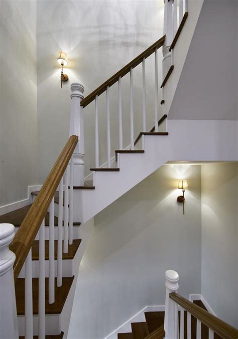 樓梯壁燈設計 藤科植物